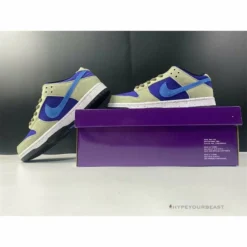 HypeYourBeast Nike Dunk Low SB 'ACG Celadon'