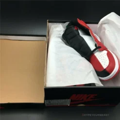 Hypeyourbeast Jordan 1 Retro High