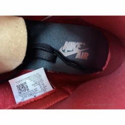 Hypeyourbeast Air Jordan 1 Retro High Snake Chicago Satin