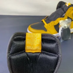 HypeYourBeast Air Jordan 1 Retro High 'Pollen' 17 HypeYourBeast Air Jordan 1 Retro High 'Pollen'