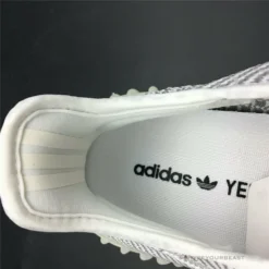 Hypeyourbeast Adidas Yeezy 350 V2 Static
