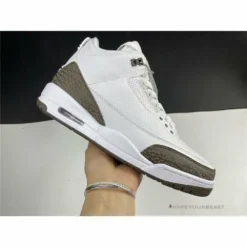 HypeYourBeast Air Jordan 3 'Mocha'