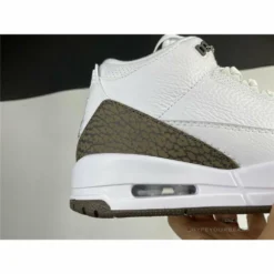 HypeYourBeast Air Jordan 3 'Mocha'
