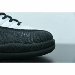 HypeYourBeast Air Jordan 12 'Royalty'