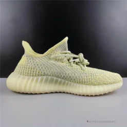 Hypeyourbeast Adidas Yeezy Boost 350 V2 'Antlia'