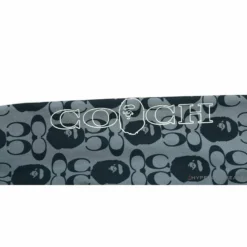 Hypeyourbeast BAPE X COACH Co-Branded Grey-Blue Hoodie