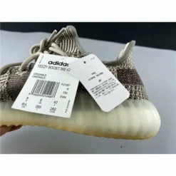 HypeYourBeast Adidas Yeezy Boost 350 V2 'Zyon'