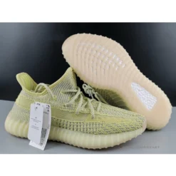 Hypeyourbeast Adidas Yeezy Boost 350 V2 'Antlia'