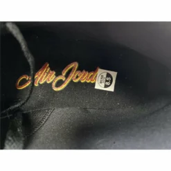 Hypeyourbeast Air Jordan 1 Mid Raygun