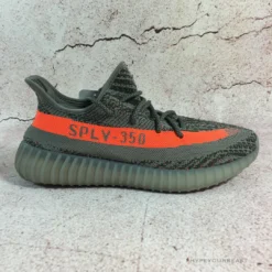 Hypeyourbeast Adidas Yeezy Boost 350 V2 'Beluga'