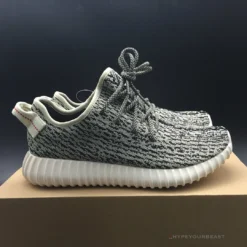 Hypeyourbeast Adidas Yeezy Boost 350 Turtle Dove