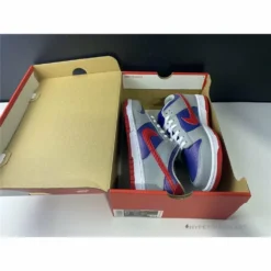 Hypeyourbeast Nike SB Dunk Low 'Samba'