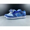 Hypeyourbeast Nike SB Dunk Low 'Stangelove Blue'