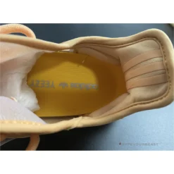 HypeYourBeast Adidas Yeezy Boost 350 V2 'Mono Clay'