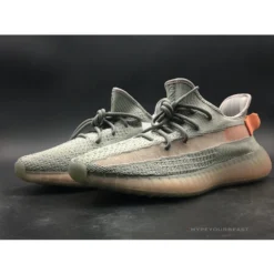 Hypeyourbeast Yeezy Boost 350 V2 'True Form'