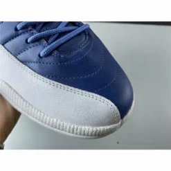 Hypeyourbeast Air Jordan 12 'Stone Blue'