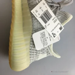 Hypeyourbeast Adidas Yeezy Boost 350 V2 'Tailgate'