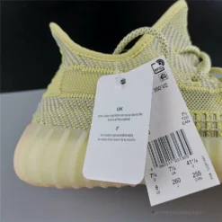 Hypeyourbeast Adidas Yeezy Boost 350 V2 'Antlia'