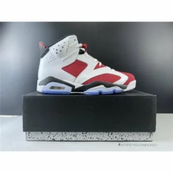 Hypeyourbeast Air Jordan 6 Retro OG 'Carmine'