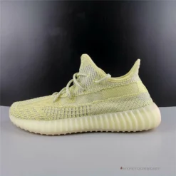 Hypeyourbeast Adidas Yeezy Boost 350 V2 'Antlia'