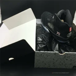 Hypeyourbeast Jordan 5 Retro Paris Saint-Germain