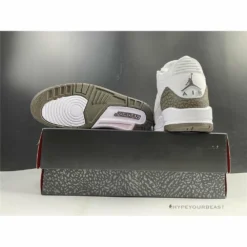 HypeYourBeast Air Jordan 3 'Mocha'