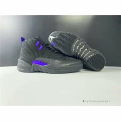 Hypeyourbeast Air Jordan 12 'Dark Concord'
