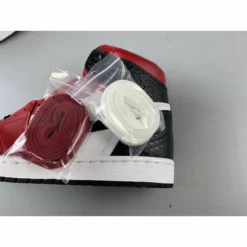 Hypeyourbeast Air Jordan 1 Retro High Snake Chicago Satin