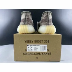 HypeYourBeast Adidas Yeezy Boost 350 V2 'Zyon'